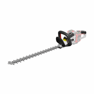 Tagliasiepi RY20G
